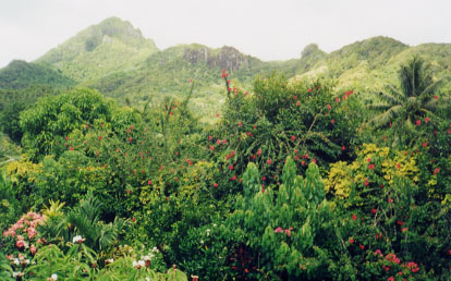 View of mountains from their front yard