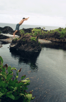 Neil jumping into Venus Pool