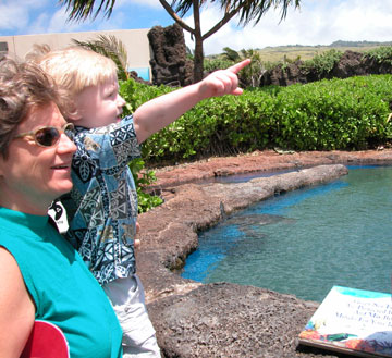 At the Turtle Lagoon, there are turtles on Quentin's shirt too.