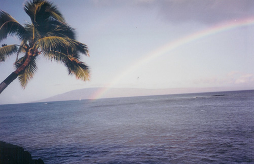 Maui Rainbow