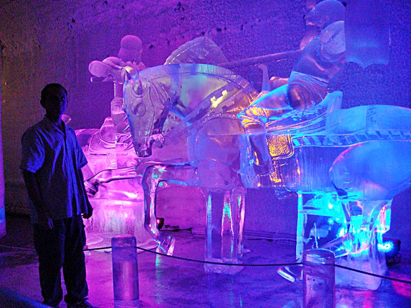 The Knights in the ice museum