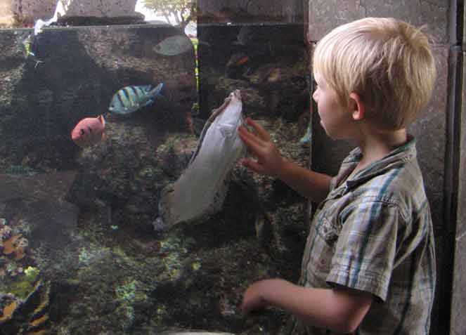 Queting looks at Flowery Flounder