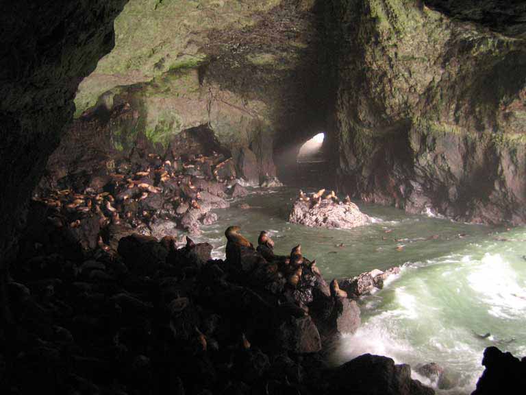 Sea Lion Cave