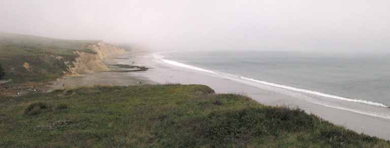 Point Reyes beach