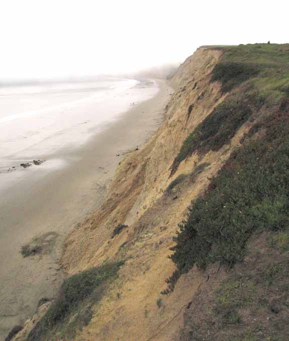 Point Reyes beach