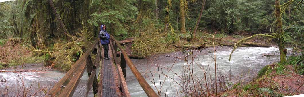 bridge on hike