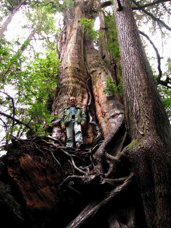 Neil on Cedar