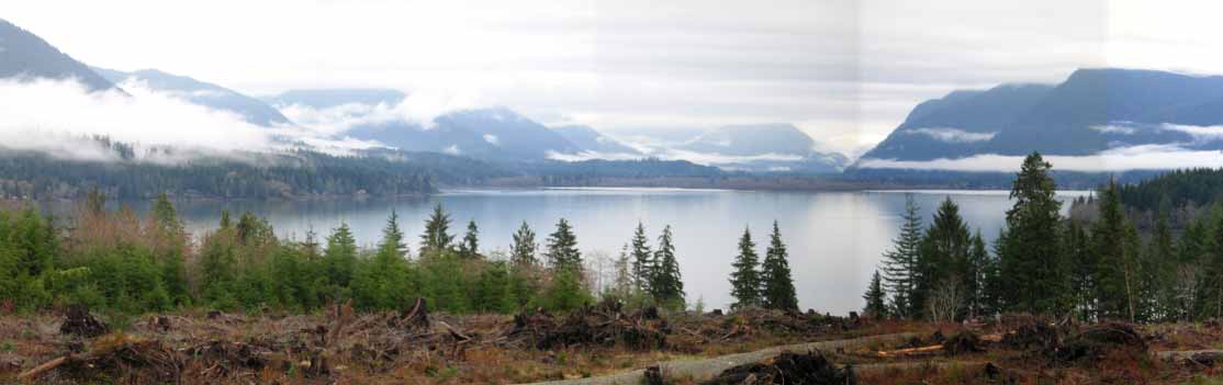 Lake Quinault