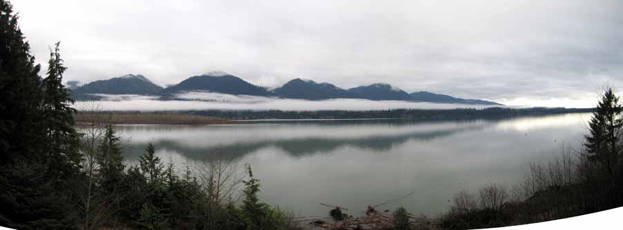 Lake Quinault