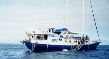 Atlantic Clipper, Australia