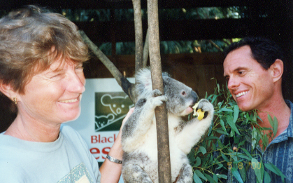 Playing with a Koala