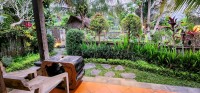 View out the Front Door
