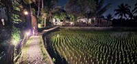 Lighted Path to our Room