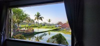 Room with a View