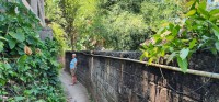 Narrow Path