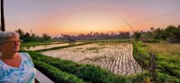 Sunset over the Rice Field
