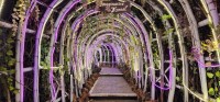 Imaginative Tunnel