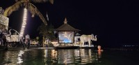 Night in the Infinity Pool