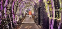 Nan in Tunnel