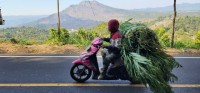 Scooter with a Load