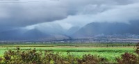 Home on Maui