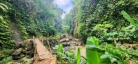 Path to Waterfall
