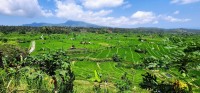 Mount Agung and Rice Terraces