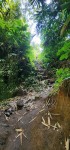 Mud Steps