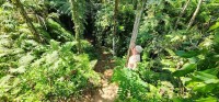 Nan Descending