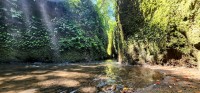 Walking Through the Stream
