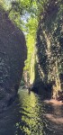 Nan in the Stream