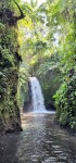 View Back to the Waterfall