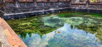 Sacred Spring