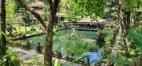 Decorative Pool