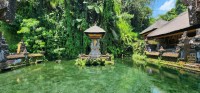 Springs and Shrine
