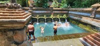 Springs Swimming Pool