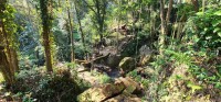 Path to Stream