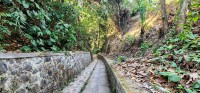 Steps and Ramp