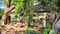 Outdoor area for Thai massage at Teochew Cemetery Park