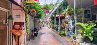 A walkway from Phra Arthit Pier to Khaosan Road