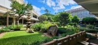 Honolulu Airport open green area