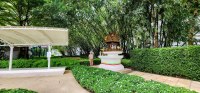 Shady park-like walkways at the hotel