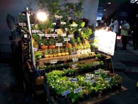 Truck selling plant starts