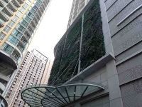 Vertical garden in the W District