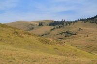 Grazing Hills
