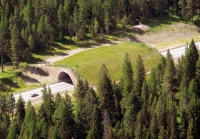 Animal Bridge Aerial View