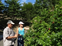 Mailea and Neil picking Rosehips
