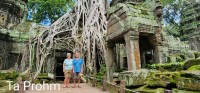 Ta Prohm Famous Tree