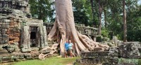 Nature in the Temple