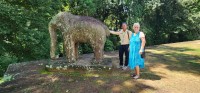 Elephant at East Mebon